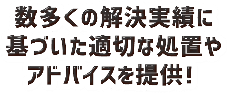 数多くの解決実績に基づいた適切な処置やアドバイスを提供！