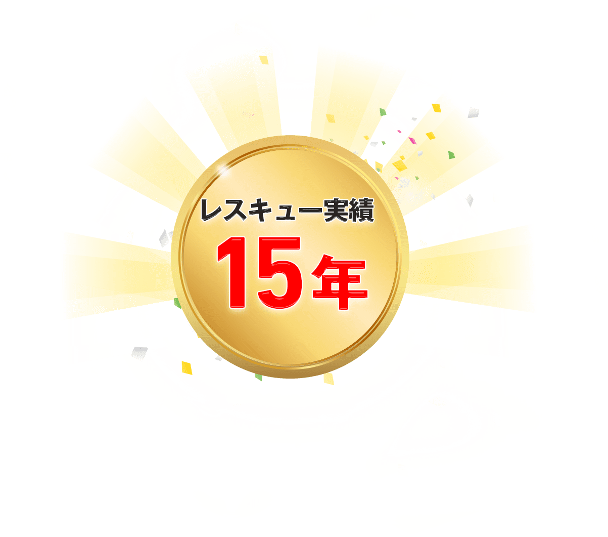 レスキュー実績15年