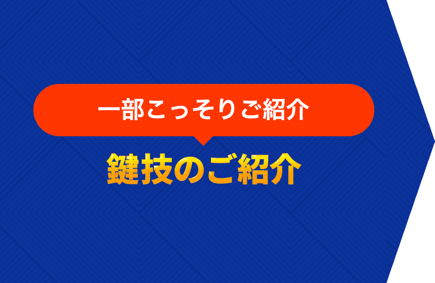 一部ごっそりご紹介　鍵技のご紹介