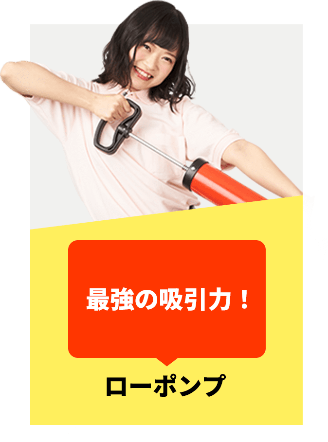 ローポンプ