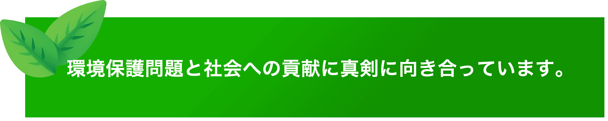 環境保護問題と社会への貢献に真剣に向き合っています。